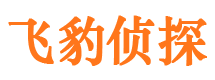 甘州市私家侦探